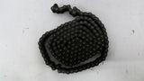 RS40-2 Chain Double 40 10' Long