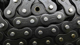 RS40-2 Chain Double 40 10' Long