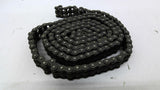 RS40-2 Chain Double 40 10' Long