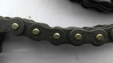 RS40-2 Chain Double 40 10' Long