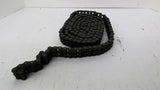 RS40-2 Chain Double 40 10' Long