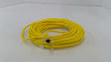 Balluff BCC0510 M313-000-10-001-VX43T2-100 Cable