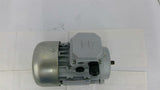 MT Electric Motors A49170389 0.33 HP AC Motor 230/400 Volts TEFC 50 HZ