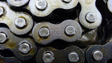 Morse BL-4 Leaf Chain 10'