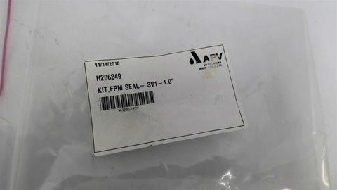 APV H206249 KIT FPM SEAL SV1 -1.0"