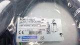 Telemacanique XCMD2102L5 Limit Switch