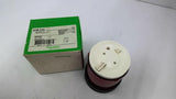 Schneider XVB C34 Red Steady Unit