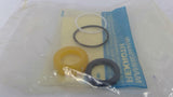 Rexroth P-106858-K0000 Repair Kit