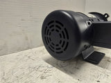 Leeson 098008.00 042D17FK6A 1/2HP DC Motor 1750RPM NSS56C 180V TEFC