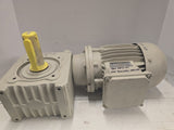 ZAE 80L/4D .75kW AC Gaar Motor 1800RPM 4P 3PH 80L 277/480V TEFC