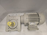 ZAE 80L/4D .75kW AC Gaar Motor 1800RPM 4P 3PH 80L 277/480V TEFC