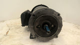 Weg 00218ET3E56C-S 2 HP AC Motor 1800 RPM 4P 3 Phase 56HC 208-230/460 V TEFC