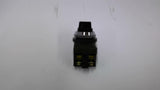 Idec ASN 41-10569 Inzumi 2 Position Selector Switch W/ BS010E Lot Of 3