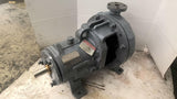 MK3 STD 2K2X1-10ARV/10.00 Pump 250 PSI