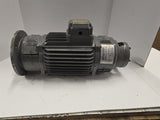 Motore Corrente 41901 DC Motor .85HP 1500RPM 170/190 Volts