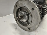 Motore Corrente 41901 DC Motor .85HP 1500RPM 170/190 Volts