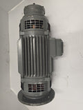 Motore Corrente 41901 DC Motor .85HP 1500RPM 170/190 Volts