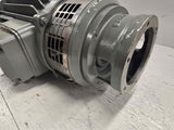 Motore Corrente AF100R 1.2HP DC Motor 1500RPM 170/190V