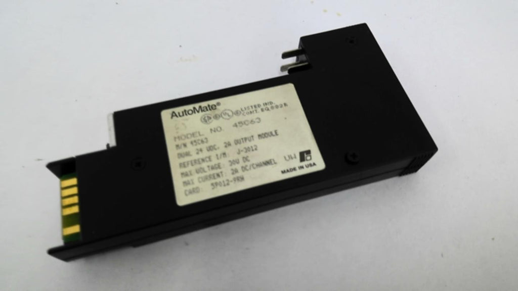 AutoMate 45C63 Output Module 24 VDC 2 Amp