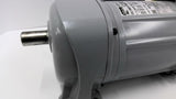 Nissei 63L18N10-MM01TNNTB2 0.1kW GTR Induction Motor 10:1 Ratio 1710 RPM 3 Phase