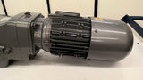 Nord 80LP/4CUSTWZ Hollowshaft Gearmotor 1Hp 230/460V 20:1 60Hz