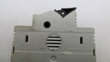 Allen Bradley 1492-FB2C30-L 2 Pole Fuse 30AMP 600V