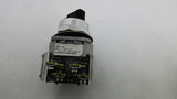 Allen Bradley 800T-H2A 2 position Selector Switch Type 4/13