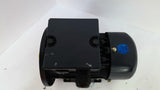 Leeson 192015.30 AC Motor 1/4HP 230/460V 1655RPM 3PH 63D B3/B5