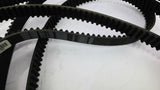 Continental 8GTR-4480 Falcon Belt