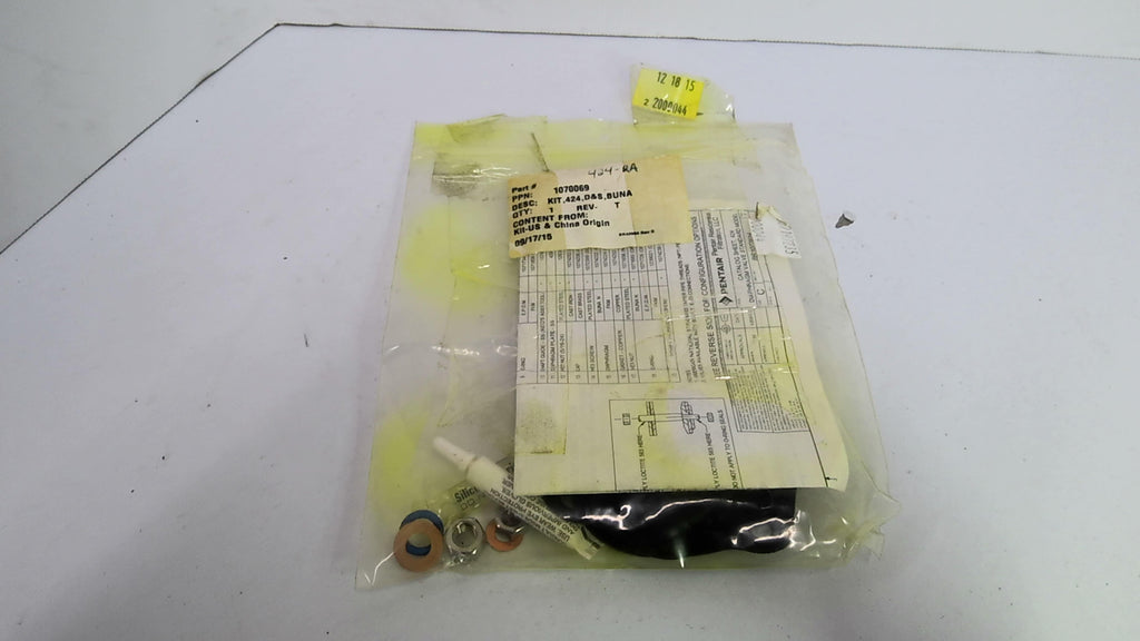 Pentair 1070069 Replacement Kit 424 D&S Buna 1 Kit Per Package