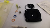 Pentair 1070069 Replacement Kit 424 D&S Buna 1 Kit Per Package