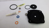 Pentair 1070069 Replacement Kit 424 D&S Buna 1 Kit Per Package