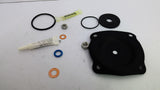 Pentair 1070069 Replacement Kit 424 D&S Buna 1 Kit Per Package
