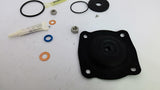 Pentair 1070069 Replacement Kit 424 D&S Buna 1 Kit Per Package