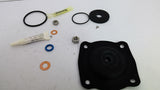 Pentair 1070069 Replacement Kit 424 D&S Buna 1 Kit Per Package