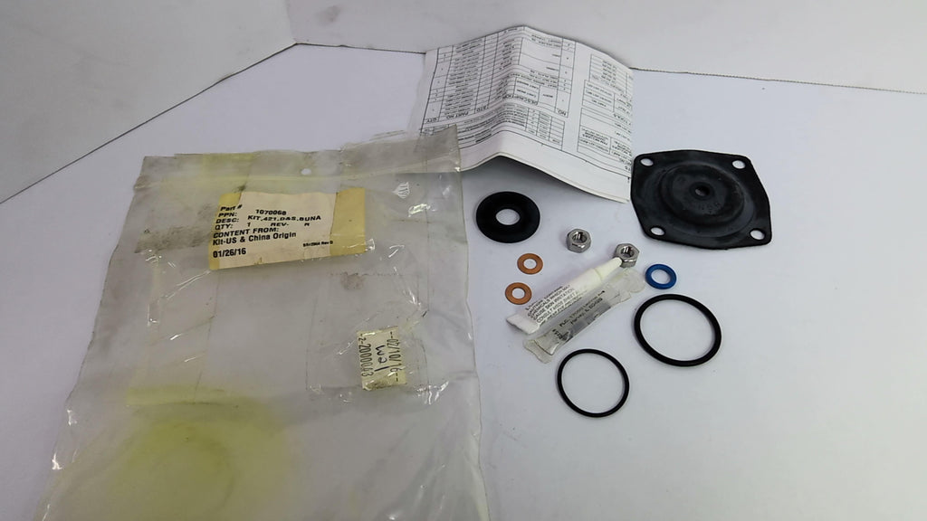 Pentair 1070068 Replacement Kit 421, D&S, Buna
