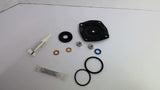Pentair 1070068 Replacement Kit 421, D&S, Buna