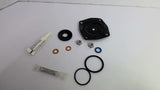 Pentair 1070068 Replacement Kit 421, D&S, Buna