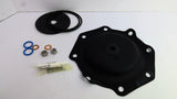 Pentair 1070072 Replacement Kit 427 D&S Buna