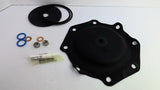 Pentair 1070072 Replacement Kit 427 D&S Buna