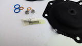 Pentair 1070072 Replacement Kit 427 D&S Buna