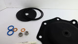 Pentair 1070072 Replacement Kit 427 D&S Buna