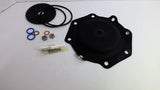 Pentair 1070072 Replacement Kit 427 D&S Buna