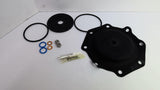 Pentair 1070072 Replacement Kit 427 D&S Buna
