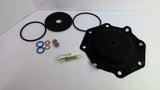 Pentair 1070072 Replacement Kit 427 D&S Buna