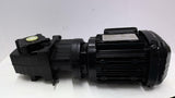SEW EURODRIVE WA37DRS71M4/TF 0.55kW 480V 26.96:1 AC Hollow Shaft Gear Motor