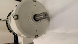 Leeson G130662.00 3Hp Ac Motor 1800Rpm 4P 3Ph 182T 208-230/460V Tefc 60Hz