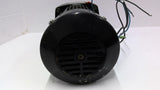 Bodine 42R5BFCI-E3 1/6HP 115V 60:1 AC Gearmotor