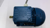 WEG TE01A0X0T0000100438 0.75 KW AC Motor 3450RPM 2P 3PH 460V IP55 60Hz