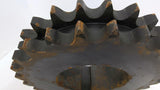 Martin D80R24H Double Sprocket 80 Chain 24 Teeth 8 1/8" OD